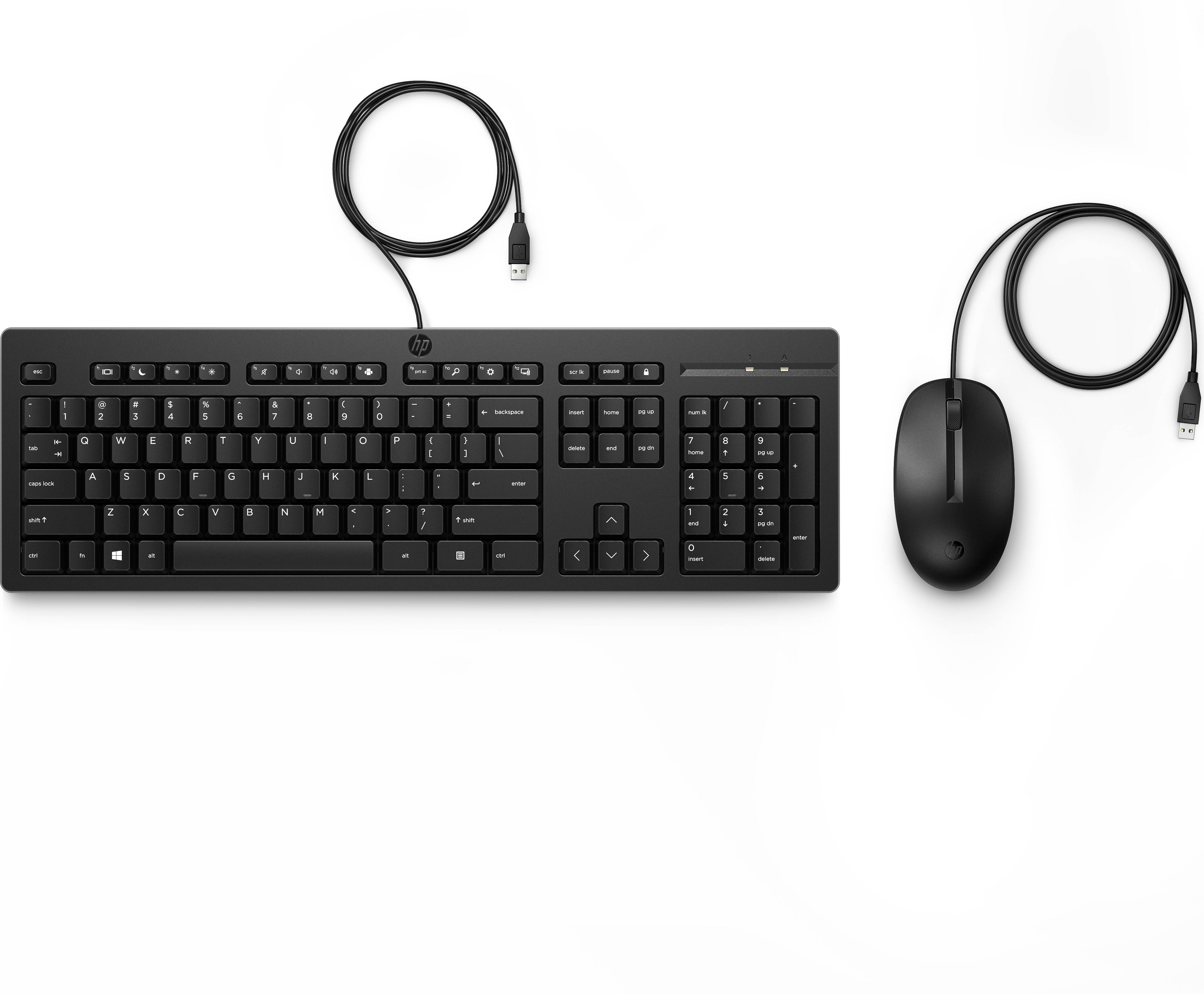 Kit de teclado y mouse HP 286J4AA